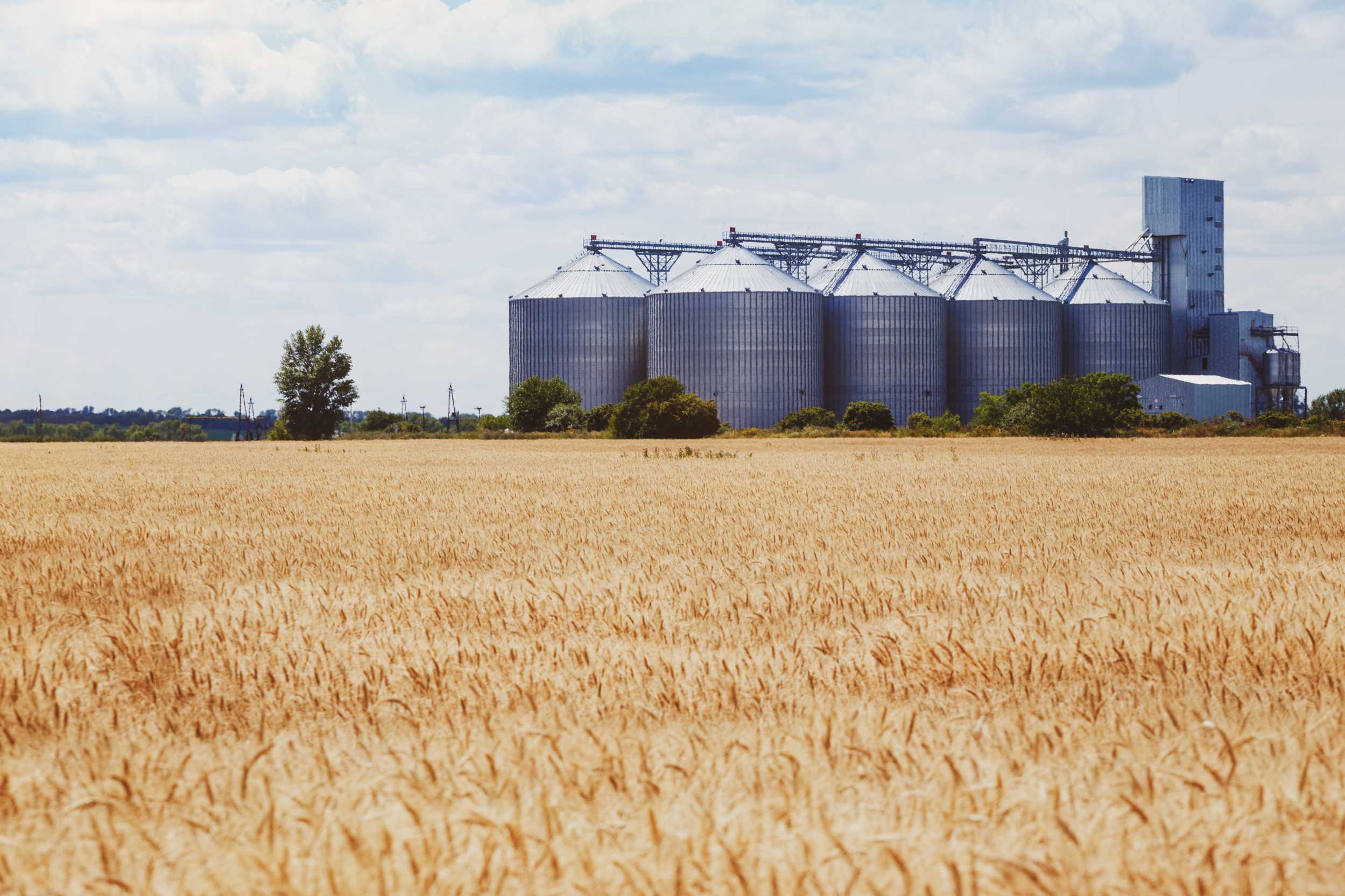 Sama Al-Manar’s Agro-Industrial Complex